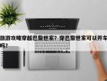 旅游攻略穿越巴黎世家？穿巴黎世家可以开车吗？