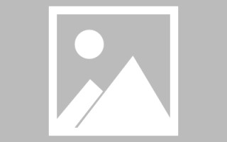 米胖旅游网，米胖汽车官方网站？